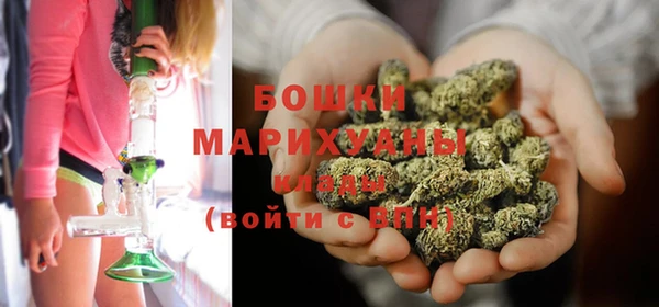 прущие грибы Бронницы