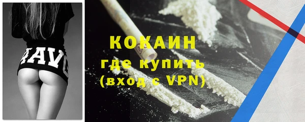 прущие грибы Бронницы