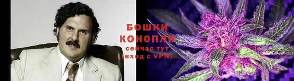 кокаин Бородино
