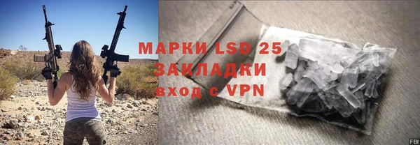 прущие грибы Бронницы