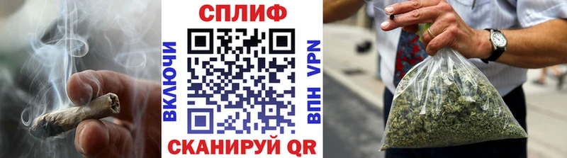Конопля гибрид Елизово